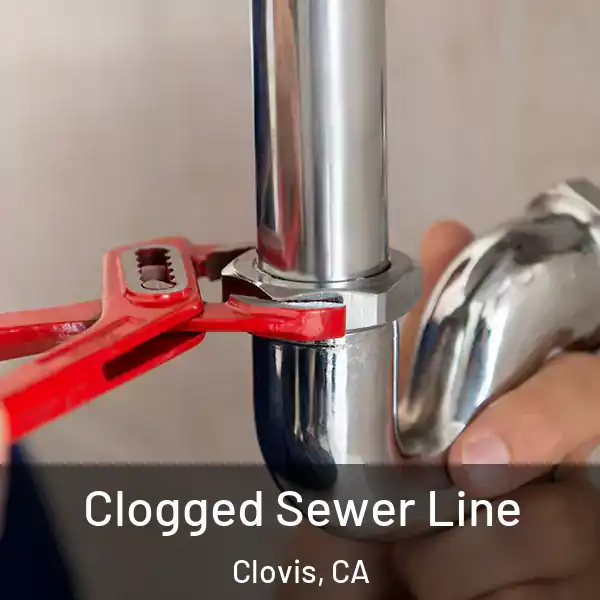  Clogged Sewer Line Clovis, CA