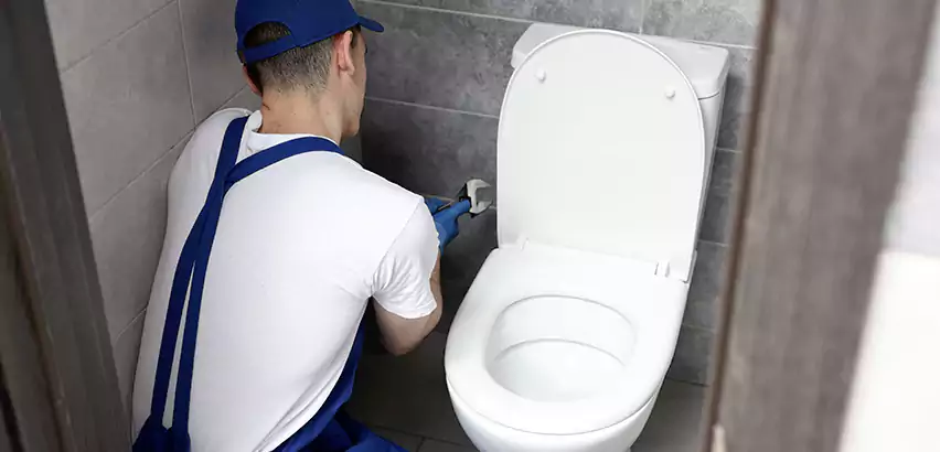 Toilet Lid Replacement in Clovis