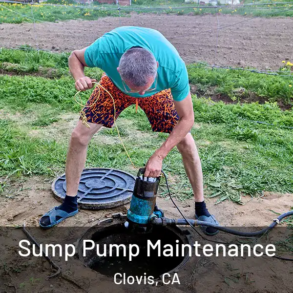  Sump Pump Maintenance Clovis, CA
