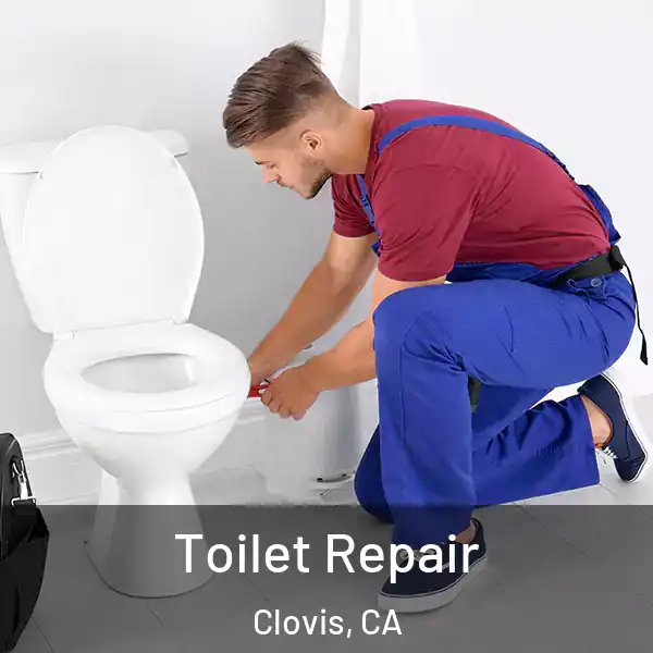  Toilet Repair Clovis, CA